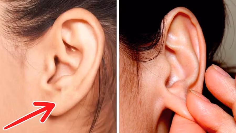 Phụ nữ khi tắm xoa bóp kỹ bộ phận này giúp trẻ lâu, sống thọ - Hình 2 Phu nu khi tam xoa bop ky bo phan nay giup tre lau, song tho-Hinh-2