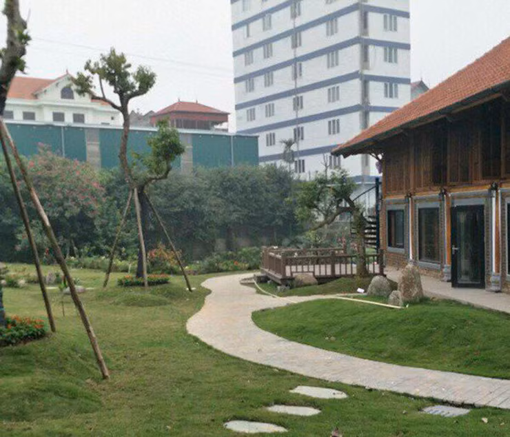 Bao quanh căn nhà là lối đi lát đá được phủ xanh bằng thảm cỏ non