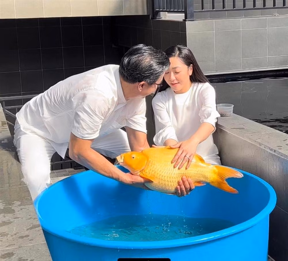 Ha Thanh Xuan va ong xa 'Vua ca Koi' dong loat khoa Facebook-Hinh-4