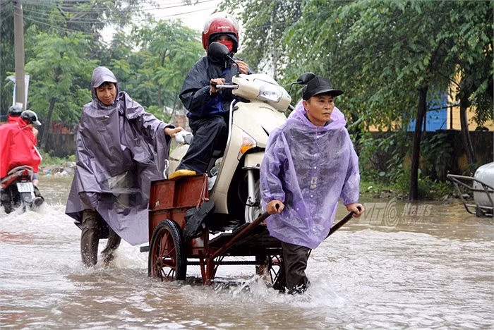 Nhiều người dân có xe kéo cũng đem ra để chở xe qua đoạn ngập. Ảnh: VTC