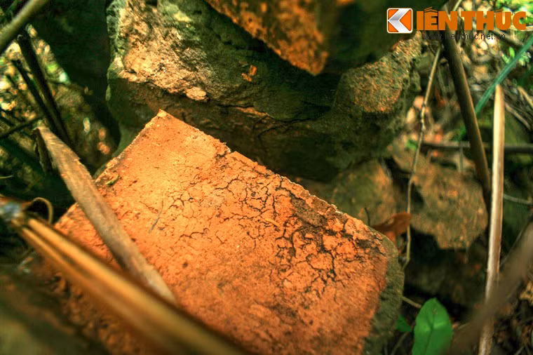 Trong thời kỳ hoàng kim của thánh địa Mỹ Sơn, hẳn tòa tháp đã mang một diện mạo uy nghi, sánh vai cùng các công trình khác làm nên vẻ đẹp hoàn mỹ của khu thánh địa.