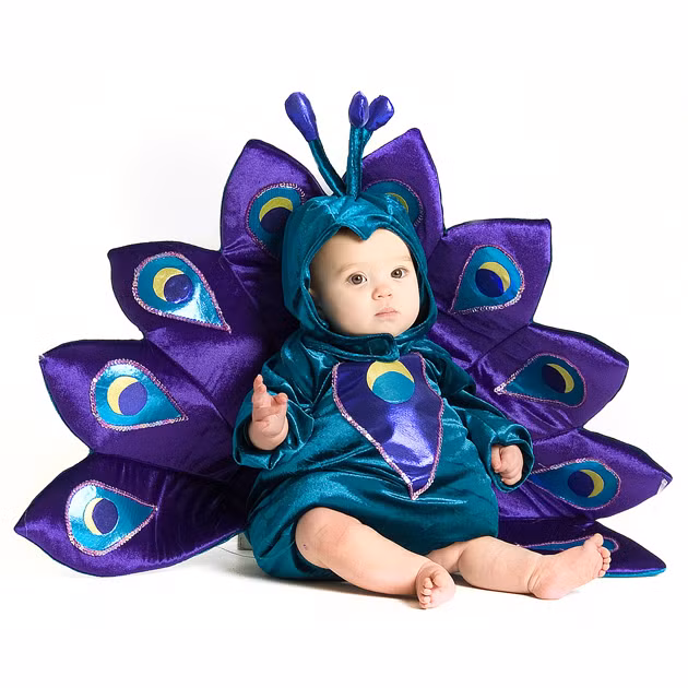 Em bé này lại hóa trang thành 1 chú công rực rỡ đêm Halloween.
