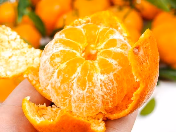 Xoài, chuối, cam quýt. Vỏ quýt có thể chữa ho, long đờm nhưng thịt quýt lại có tác dụng ngược lại. Trong thịt quýt có chứa celluite (lớp mỡ tích tụ dưới da làm cho cơ thể vận động một cách nặng nề, chậm chạp, vụng về) khiến cơ thể sinh nhiệt, sản sinh ra nhiều dịch đờm hơn.