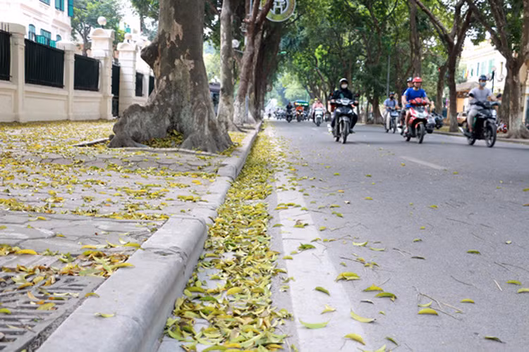 Bac Bo nhiet do tang dan, Nam Bo mua dong