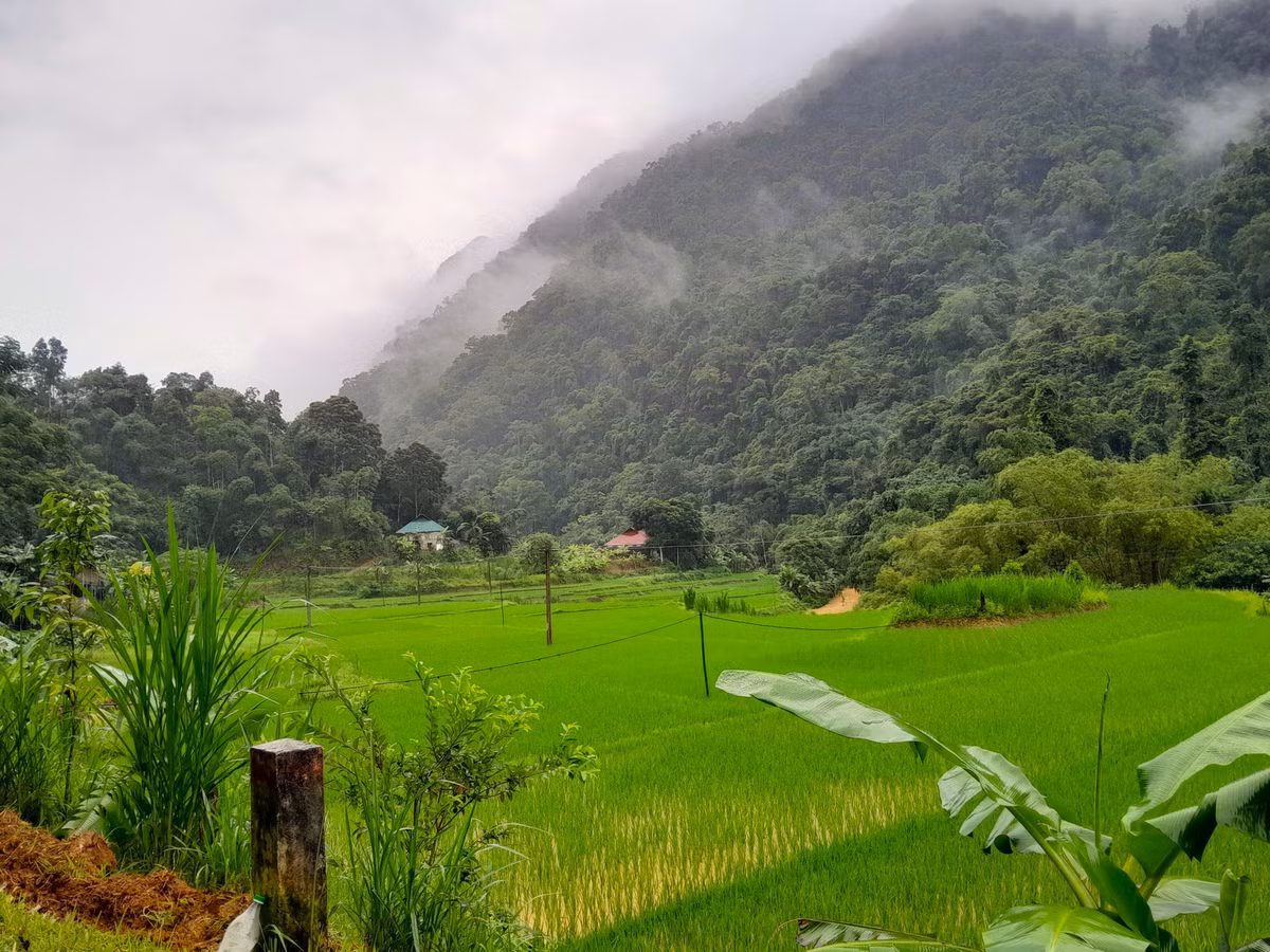 Nhung mon dac san o Pu Luong, ngon ngot lai bo duong
