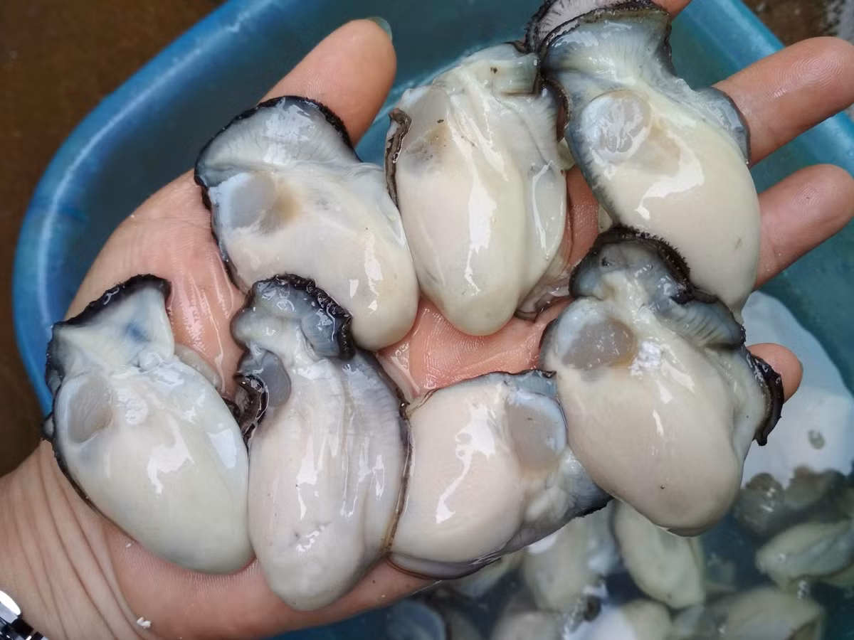 An 10kg thit bo khong bang 1kg loai thit nay, bo than thuong hang-Hinh-2