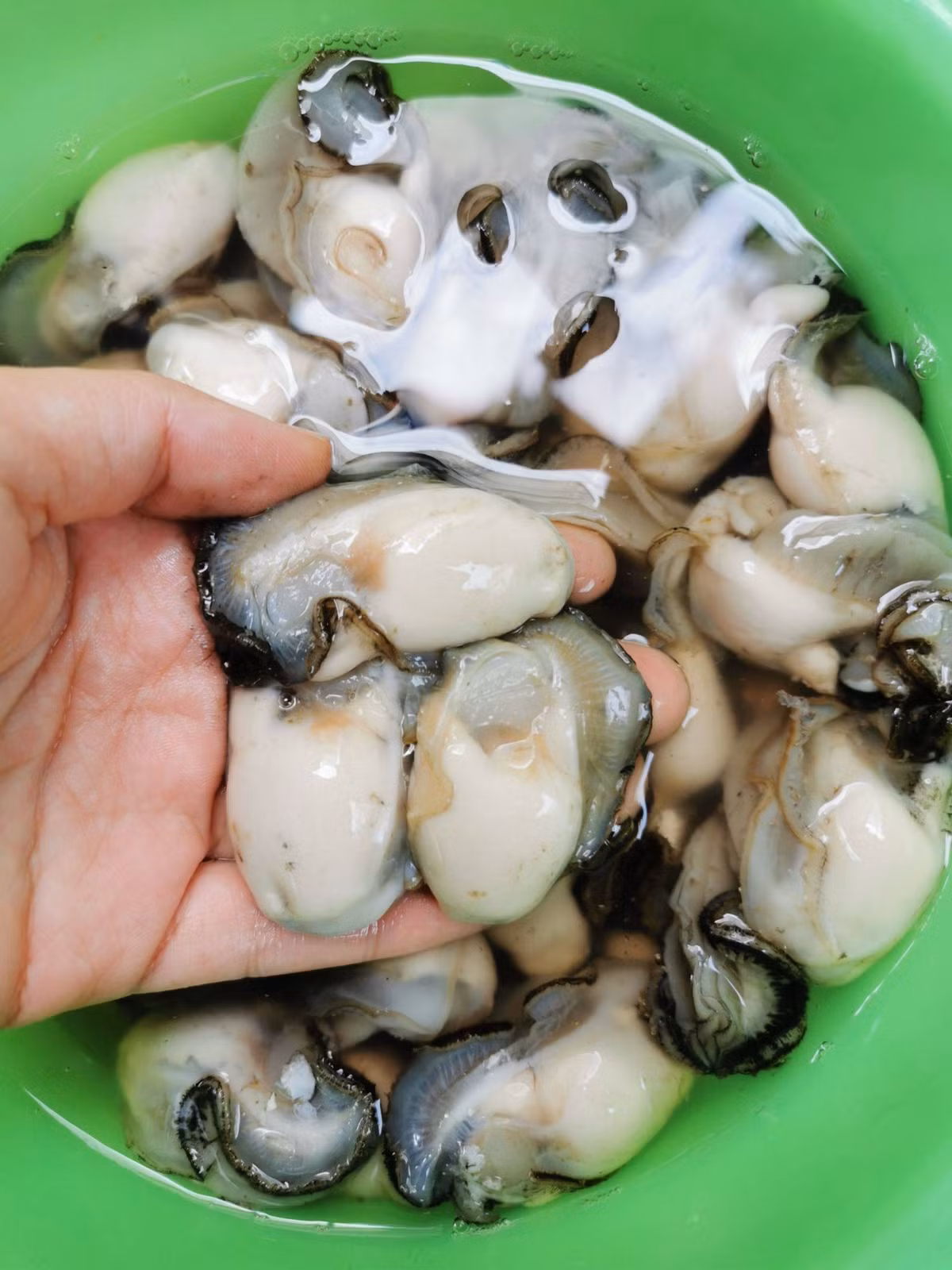An 10kg thit bo khong bang 1kg loai thit nay, bo than thuong hang-Hinh-3
