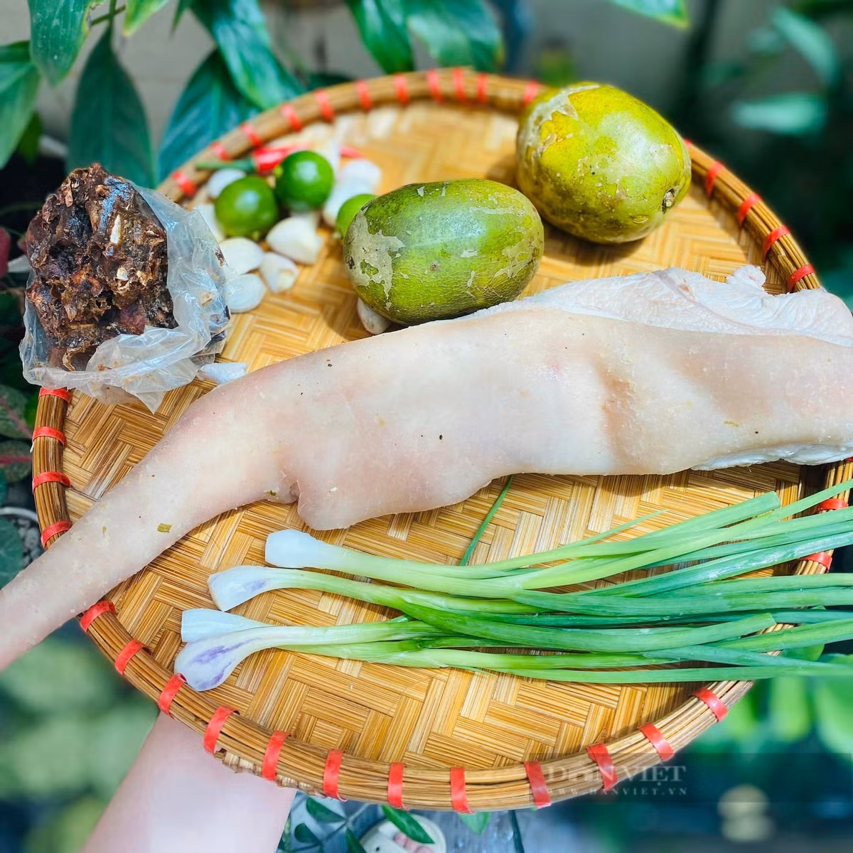 Bo phan doc nhat cua con heo, rat tot cho sinh ly dan ong-Hinh-3