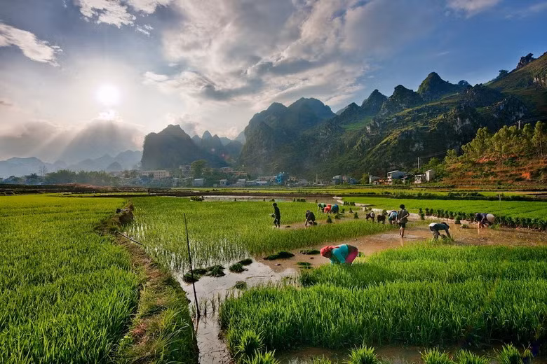 Làm ruộng ở cao nguyên Đồng Văn. Hình ảnh được đăng tải trên trang 500px.com.