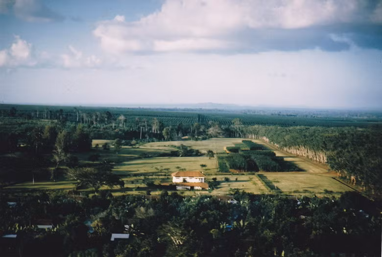 Đồn điền cao su ở Biên Hòa.