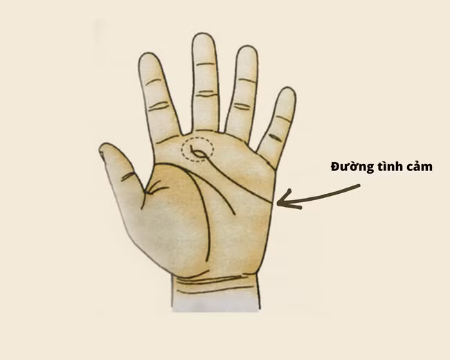 Phụ nữ sở hữu tướng tay này sẽ có tình yêu mĩ mãn Phu nu so huu tuong tay nay se co tinh yeu mi man