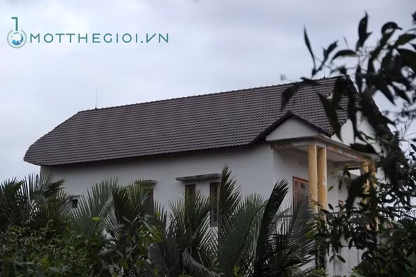 Khu biệt thự được bao quanh bằng tường rào, với cổng vòm rất cao, kiên cố và bề thế. Đường dẫn vào khu biệt thự dài gần 200 mét với hai hàng cau kiểng thẳng tắp.