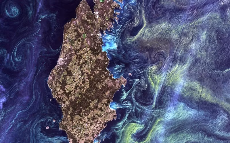 Bức ảnh của Gotland, một hòn đảo Thụy Điển ở Biển Baltic được ví như tác phẩm của danh họa nổi tiếng Van Gogh