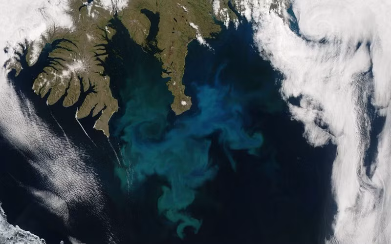 Hình ảnh ngoài khơi bờ biển Iceland, do vệ tinh Aqua của NASA ghi lại vào năm 2010