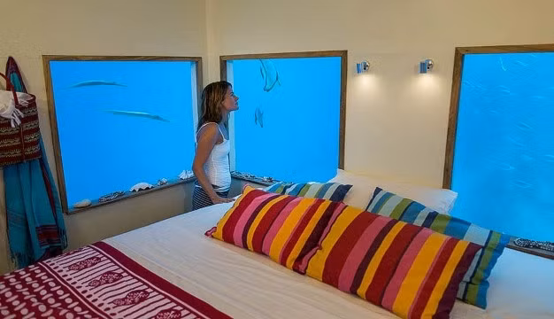 Ban ngày, du khách sẽ được ngắm nhìn từng đàn cá bơi lượn tung tăng tựa hồ như giấy dán tường có chức năng đổi cảnh.