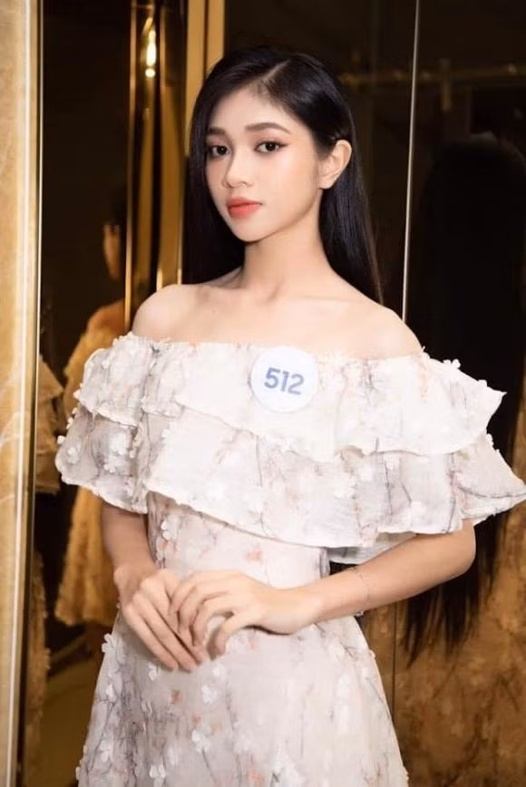 Loat my nhan ho Huynh dang quang cac cuoc thi nhan sac tai Viet Nam-Hinh-11