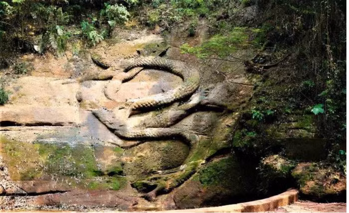 Dao trung khuc go de lo 'da' la, chuyen gia lap tuc lam dieu nay-Hinh-2