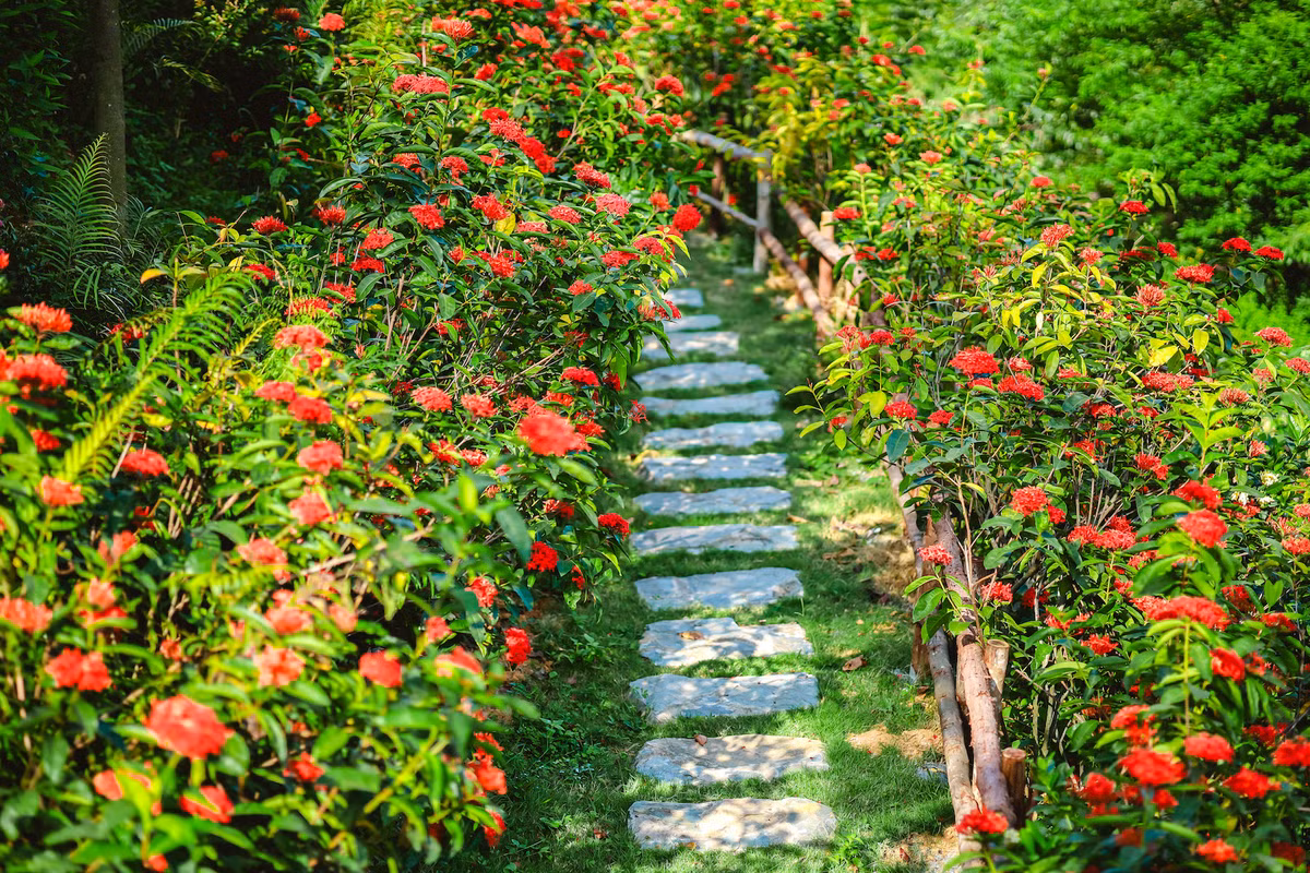 Khu vuon rong 3.000m2, hoa no ruc ro o ngoai thanh Ha Noi