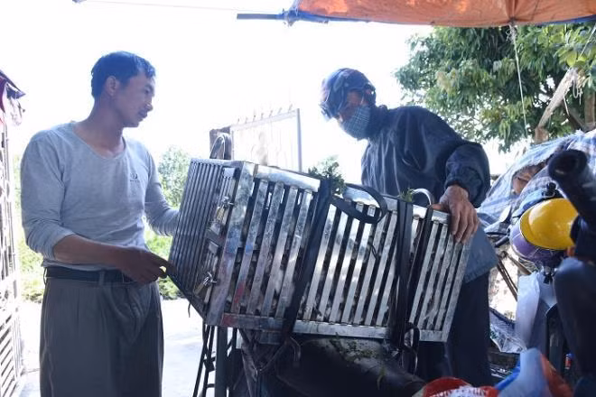 Gia đình bà Nguyễn Thị Lý (SN 1974, đội 1, thôn Bắc, xã Cổ Dũng) có 5 người đi bắt chuột đồng. Khi trời mới tờ mờ sáng, họ rời nhà đi, qua khắp các cánh đồng, bờ ao, thậm chí cả cánh đồng ở Bắc Ninh, Hà Nam... Tới hơn 14h họ mới trở về, ăn vội bát cơm để chuẩn bị làm thịt chuột, kịp giờ cho khách tới lấy.