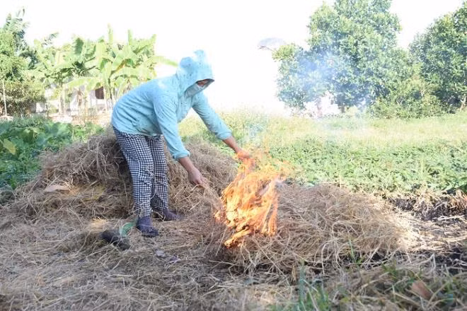 Chị Lý chất rơm để thui chuột cho khách.