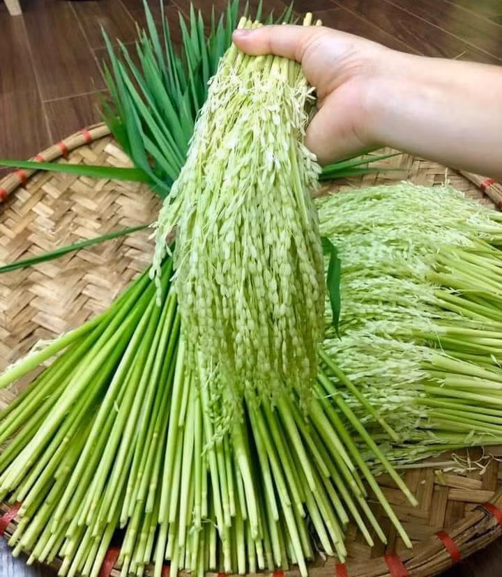 Dong dong lua nep dat gia, hang la hut quy ong lam qua