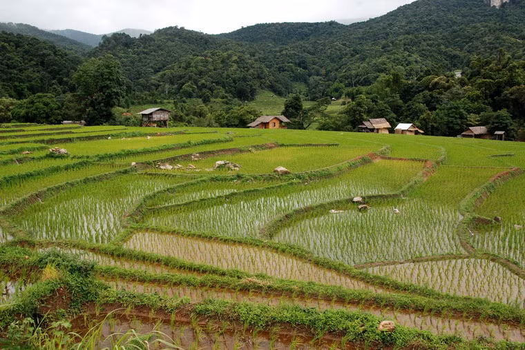 Hiện nay, người Karen tập trung chủ yếu ở khu vực biên giới Myanmar – Thái Lan với khoảng 4 triệu người trên lãnh thổ Myanamar và 500.000 người ở Thái Lan. Ngoài ra, còn hàng triệu người Karen sinh sống ở các quốc gia khác nhau trên thế giới.