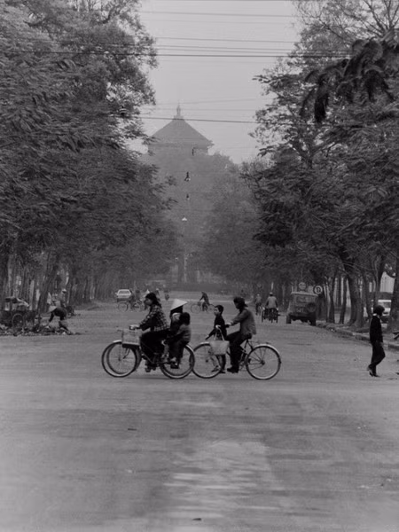 Đại học Tổng hợp bề thế được xây dựng từ thời Pháp thuộc, nằm cuối đường Lý Thường Kiệt rộng thênh thang.