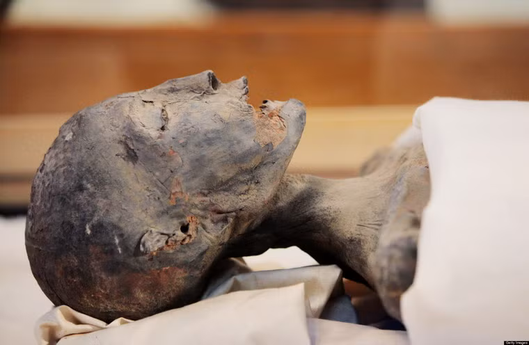 Còn đây là xác ướp người mẹ của vua Tutankhamun.