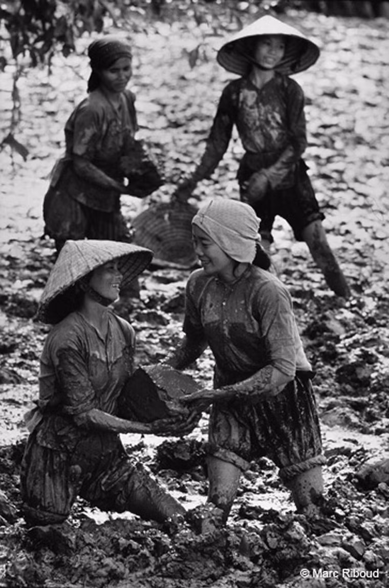 Hoạt động tu sửa đê điều.