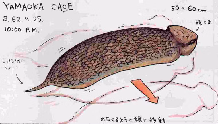 Sinh vật này đặc biệt nổi tiếng vì nhiều người tin rằng, chúng là một loài bò sát hoàn toàn có thật.