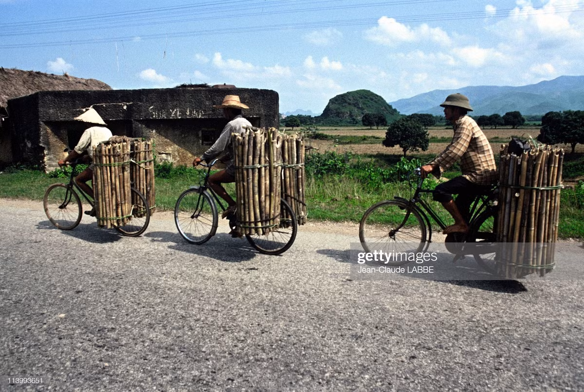 Người dân chở tre nửa trên đường từ Hà Nội đi Hòa Bình. Bên vệ đường có một lô cốt xây từ thời Pháp.