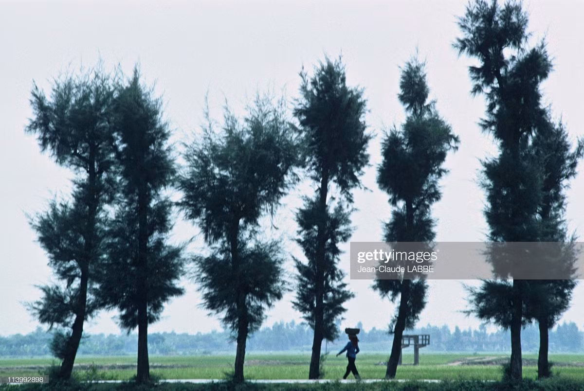 Khung cảnh tại một vùng nông thôn ở Thanh Hóa.