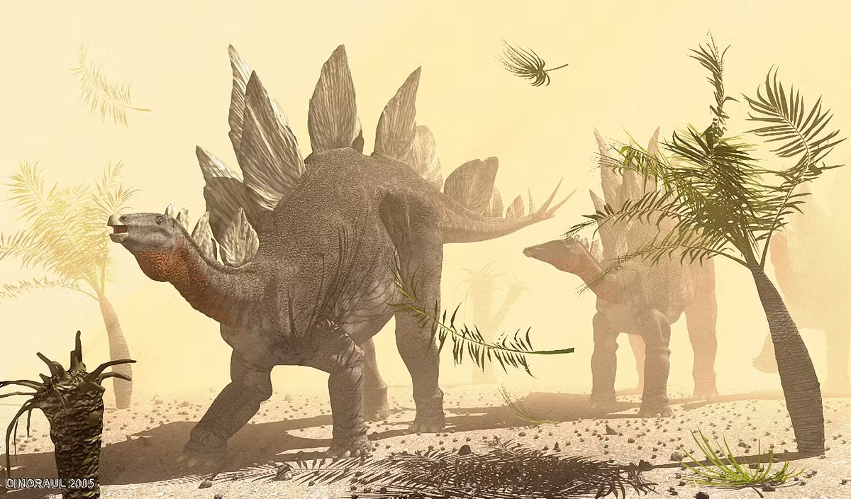 Stegosaurus (389) là chi khủng long sống vào kỷ Jura - Phấn Trắng, 150-145 triệu năm trước, hóa thạch được tìm thấy ở Bắc Mỹ và châu Âu. Những con khủng long gai nổi tiếng này dài 6 mét, nặng 2 tấn. Tấm sừng trên lưng chúng rộng bản, có thể dùng để tỏa nhiệt hoặc quyến rũ bạn tình bên cạnh chức năng tự vệ. Ảnh: Dinodata.de.