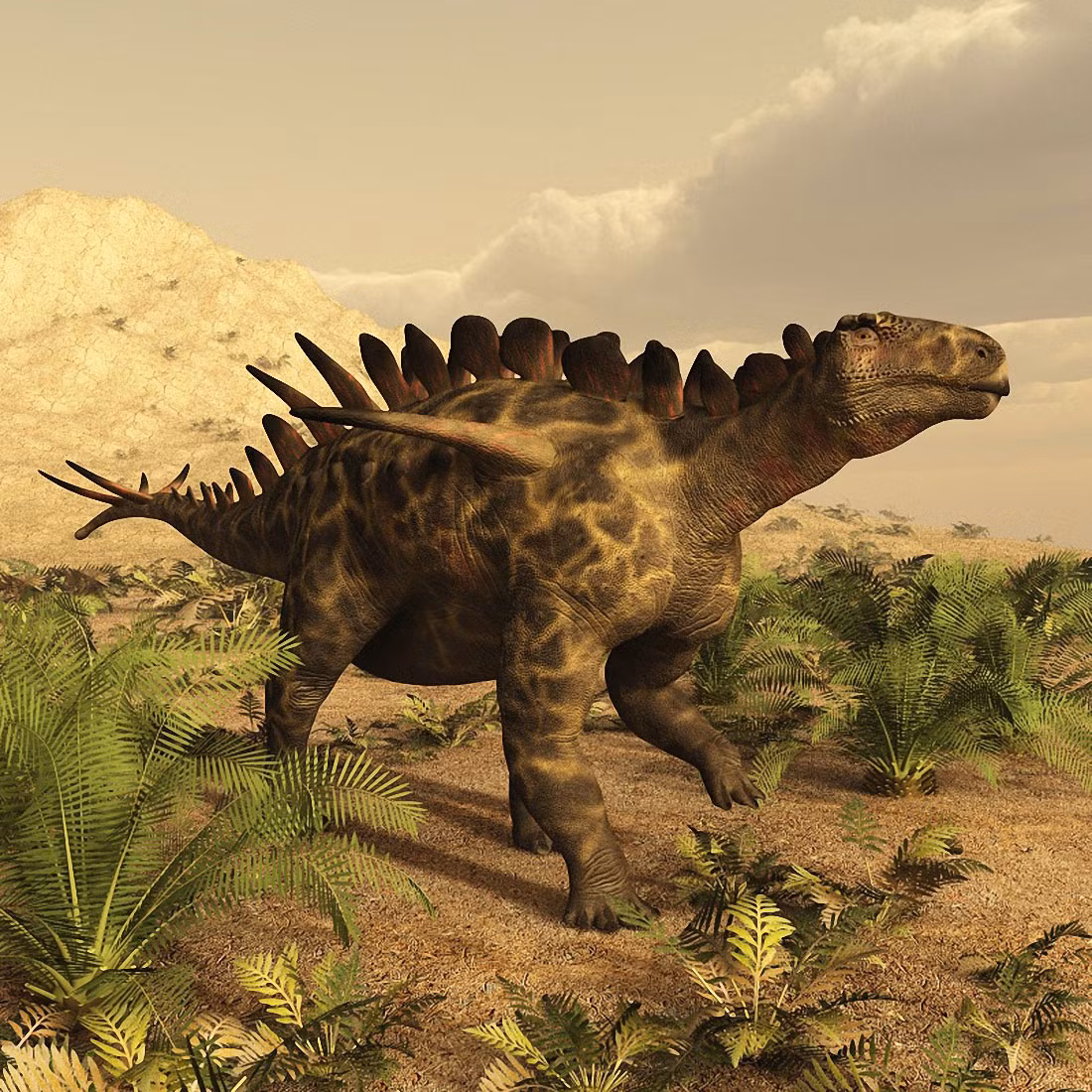 Huayangosaurus là chi khủng long sống vào kỷ Jura Trung, khoảng 165 triệu năm trước, phân bố ở Trung Quốc. Chúng có kích thước khiêm tốn hơn các loài khủng long gai khác, với chiều dài khoảng 4,5 mét, gai trên lưng cũng nhỏ hơn. Dù vậy, cặp "sừng" ở vai Huayangosaurus khá dài.