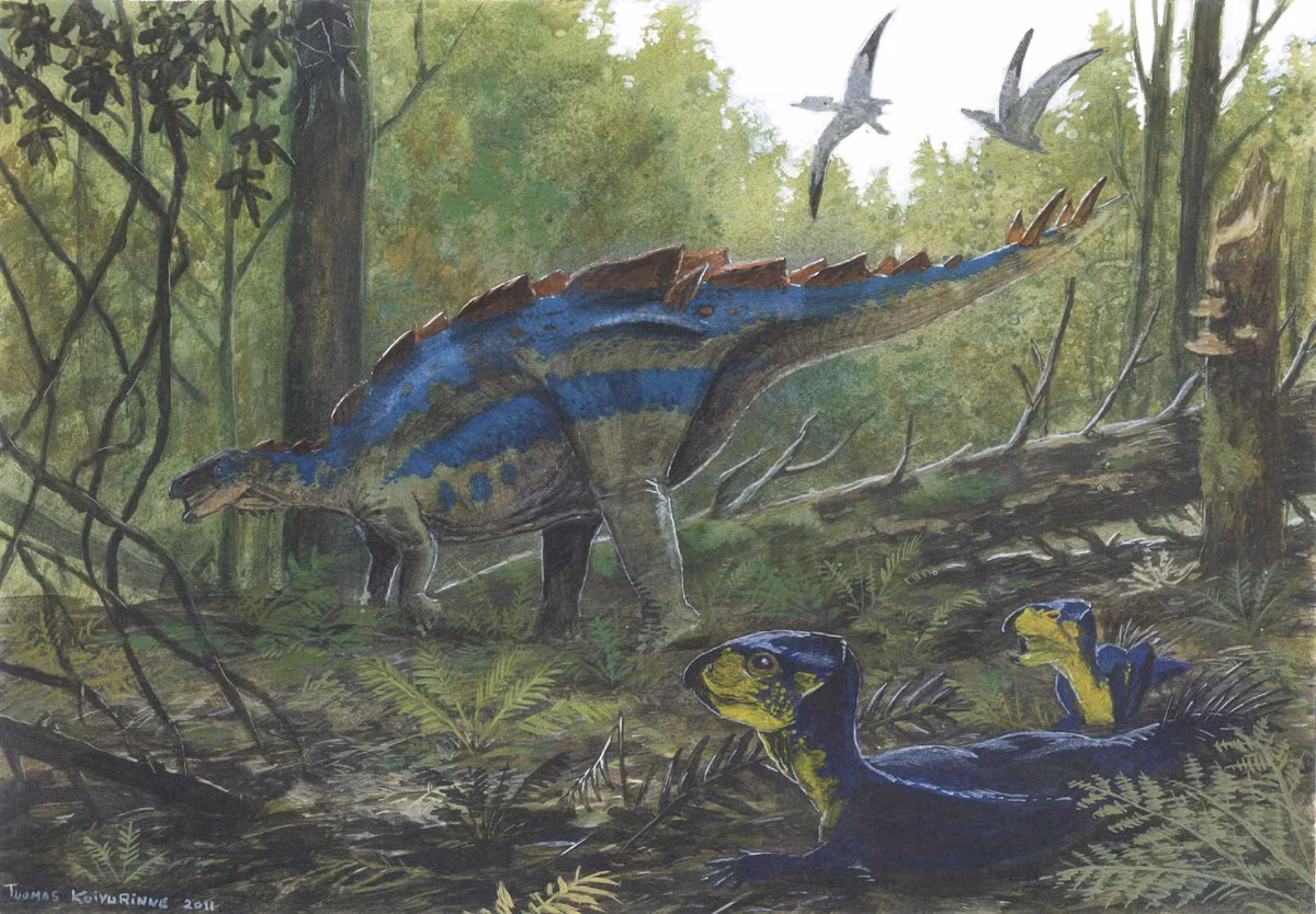 Wuerhosaurus là chi khủng long sống vào kỷ Phấn Trắng sớm, khoảng 132-113 triệu năm trước, được tìm thấy tại Trung Quốc. Chúng có kích cỡ như Stegosaurus cùng bốn chiếc gai ở cuối đuôi tương tự người họ hàng Âu - Mỹ. Điểm khác biệt lớn là các tấm sừng trên lưng Wuerhosaurus dày và thấp hơn.