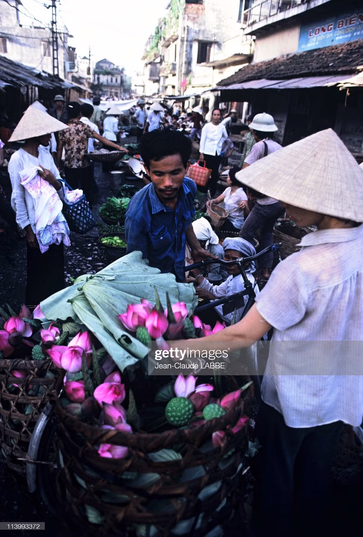 Những bó sen được bán trên xe đạp ở phố Hàng Giày.