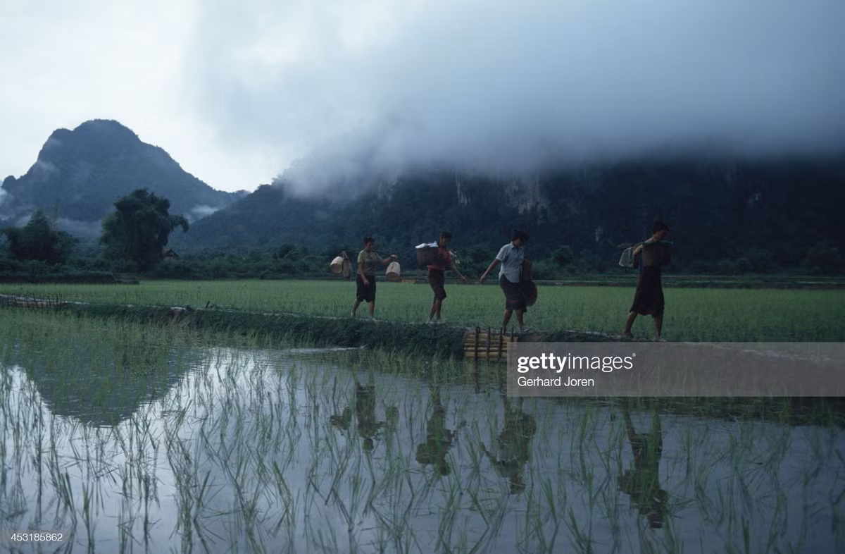 Cảnh đồng quê ở ngoại vi thị trấn Vang Vieng, trên đường từ Vientiane đến Luang Prabang.