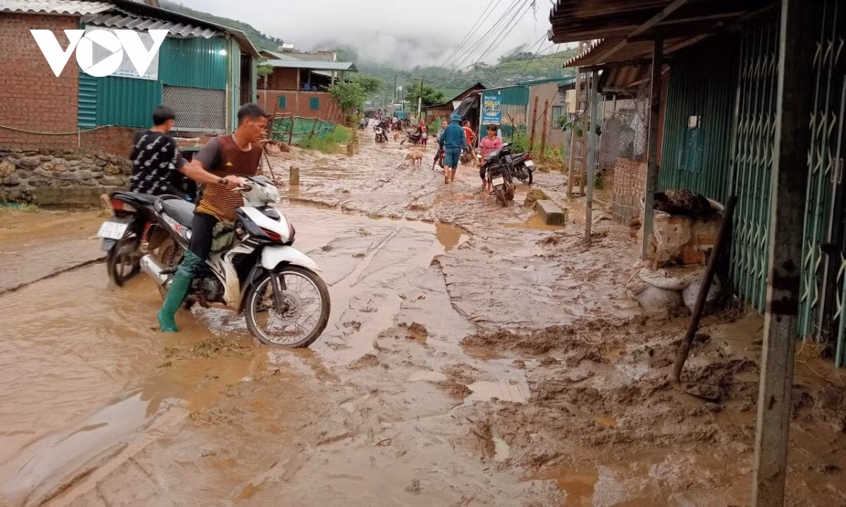 Sạt lở đất tại xã này cũng làm chết 4 con trâu bò của hộ gia đình ông Hoàng Văn Tẹ.