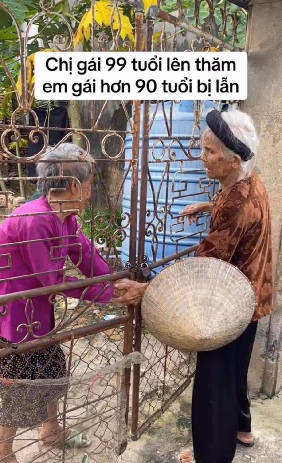 Xuc dong hinh anh ba cu 99 tuoi ve tham em gai ngoai 90-Hinh-2