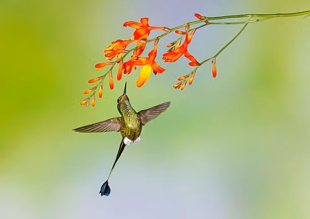 Sinh ngày Âm lịch này trời sinh có số đào hoa - Hình 3 Sinh ngay Am lich nay troi sinh co so dao hoa-Hinh-3