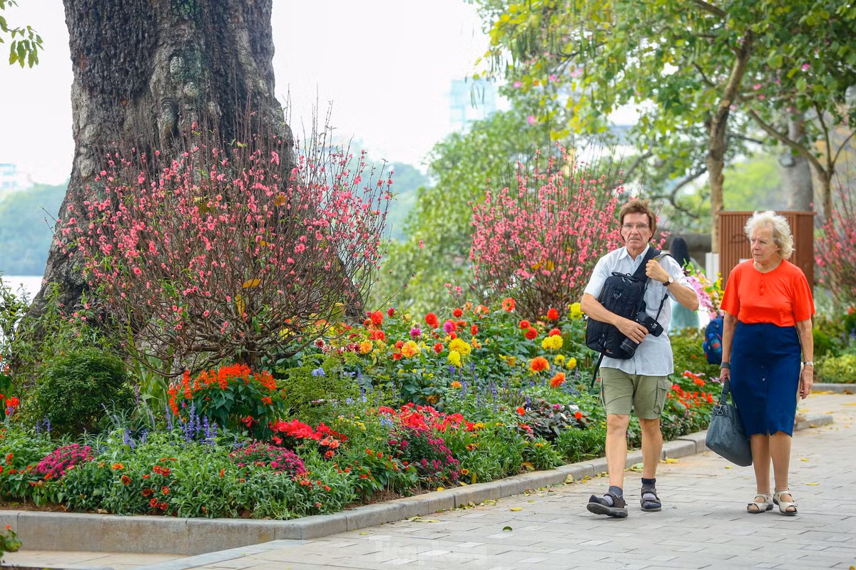 Ho Hoan Kiem ruc ro sac hoa xuan-Hinh-4