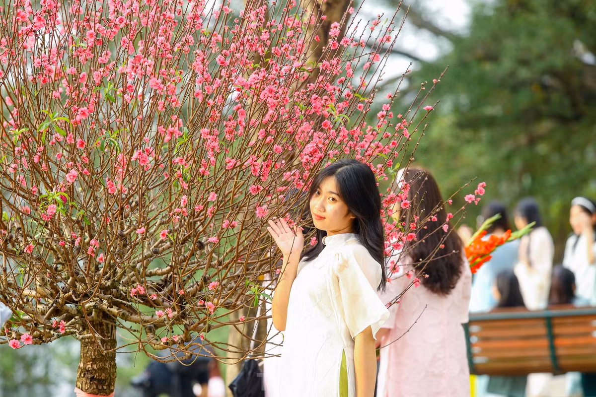 Ho Hoan Kiem ruc ro sac hoa xuan-Hinh-23