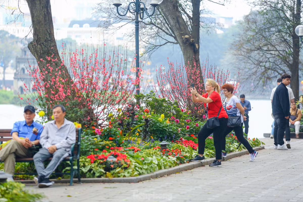 Ho Hoan Kiem ruc ro sac hoa xuan-Hinh-13