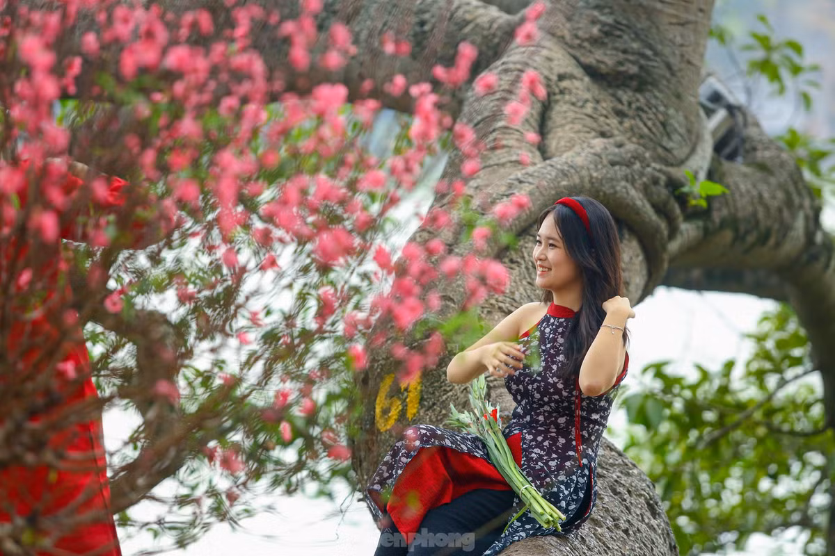 Ho Hoan Kiem ruc ro sac hoa xuan-Hinh-15