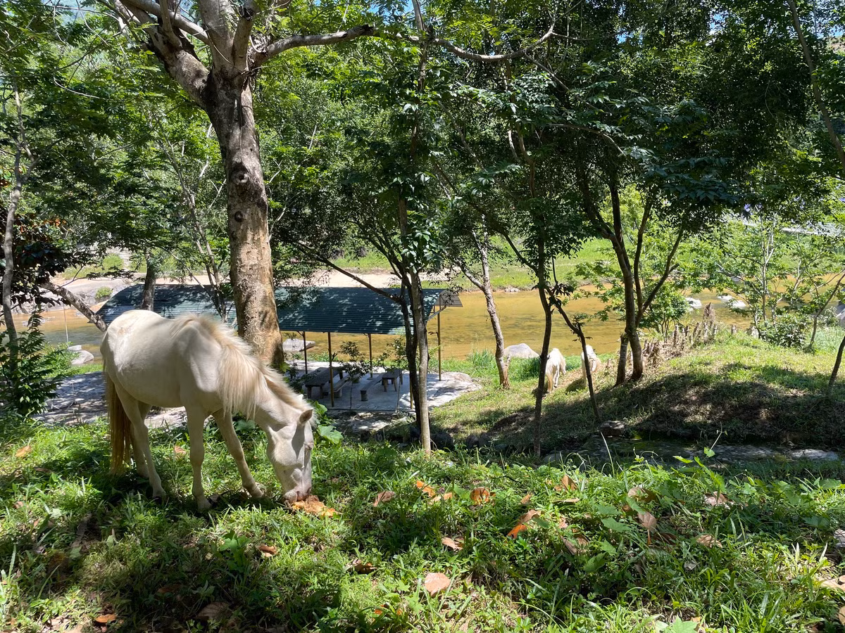 Với diện tích trải rộng khoảng 570 ha, công viên được Tổng Công ty Khánh Việt đầu tư phát triển với loại hình du lịch sinh thái nghỉ dưỡng kết hợp với quảng bá, giới thiệu những nét văn hóa đặc sắc của đồng bào dân tộc Raglai.