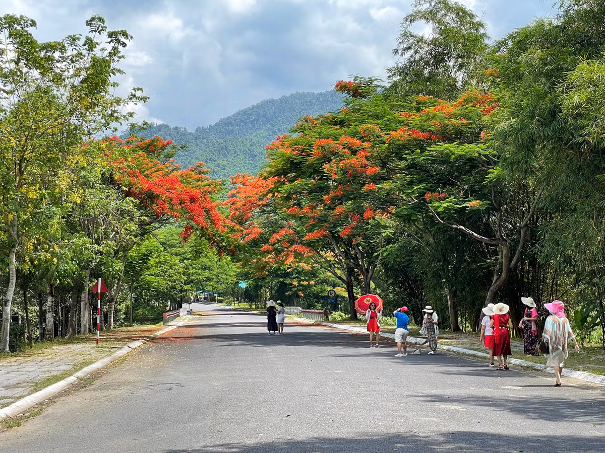 Cảnh sắc nên thơ của Công viên du lịch Yangbay, Yang Bay hấp dẫn du khách bởi vẻ hoang sơ của vùng rừng núi bạt ngàn cỏ, cây và thác nước, không khí thoáng đãng.