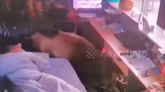 Người đàn ông thấy cảnh đáng sợ sau khi tỉnh giấc Nguoi dan ong thay canh dang so sau khi tinh giac