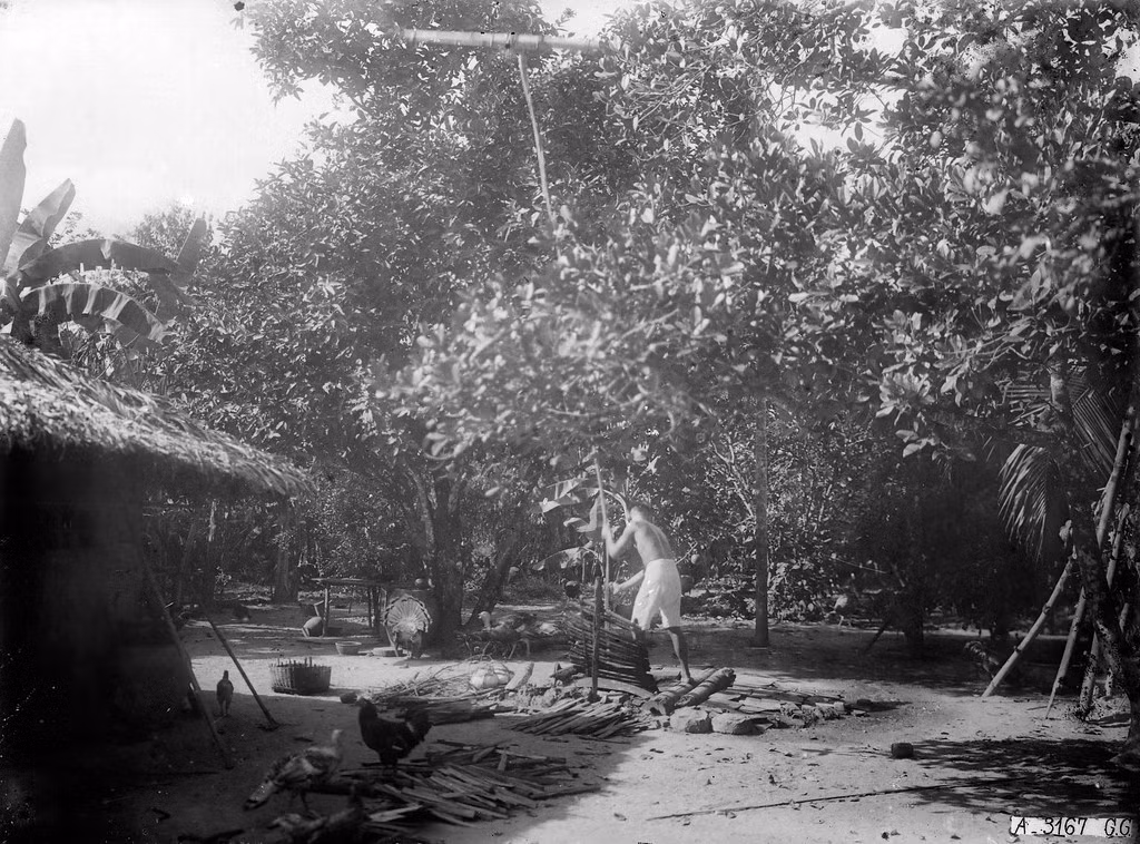 Khung cảnh tại sân một ngôi nhà vùng nông thôn Biên Hòa.