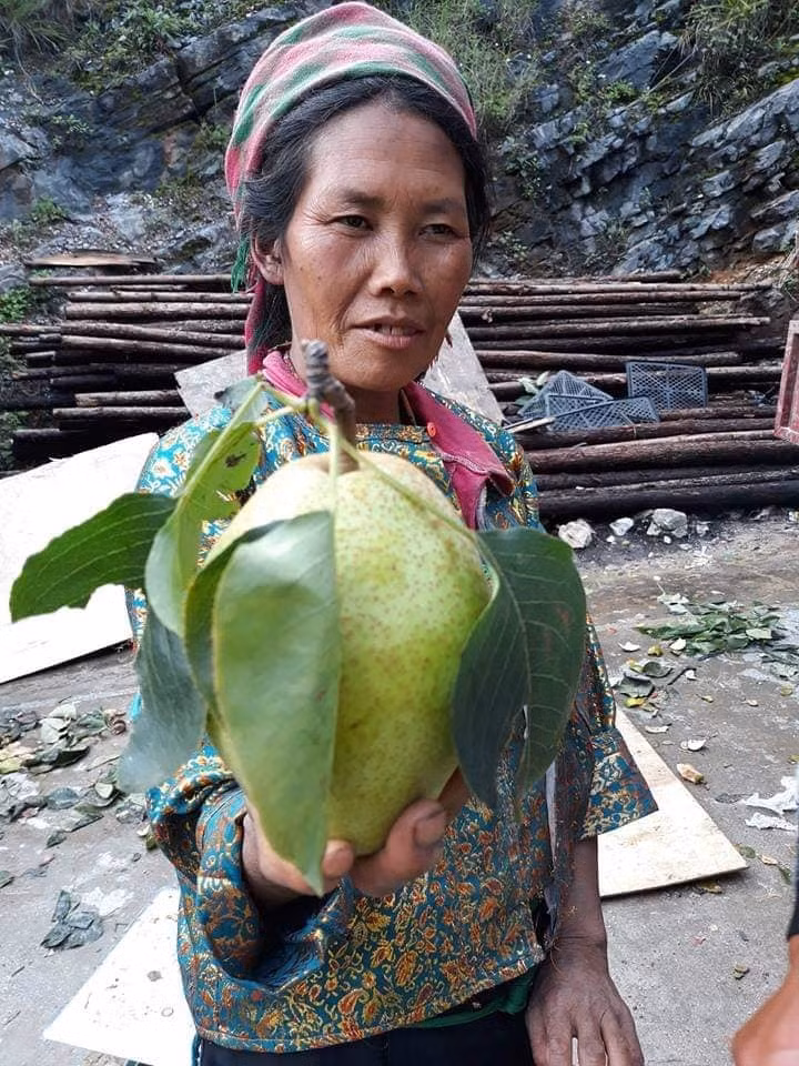 Dac san Ha Giang mat lim, ngot nhu duong danh dat hang Trung Quoc-Hinh-2