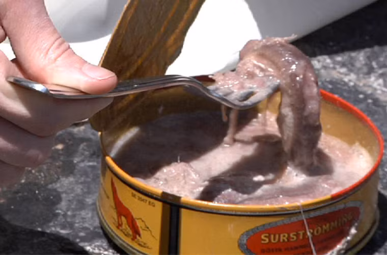 Những người quen với mùi của Surströmming còn có thể nhậu với bia. Tuy vậy, người ta tin rằng surströmming sẽ có hương vị tuyệt vời nhất khi ăn với một cốc sữa lạnh.